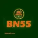 BN55 Game