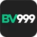 BV999 Game