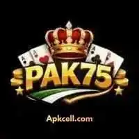 PAK75 Game