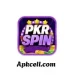 PKRSpin