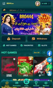 BRO444 Game